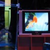 孔雀魚 - 2025中央大學英文系畢業公演戲劇《方形海》主題曲