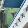 外面開始打雷我淋了一點雨就回房間彈吉他