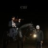 CLEF