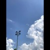 怕胖團 - 魚 | Cover