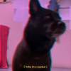 Get The Fuck Out My Face Ft. Mar48