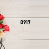 Kevin Lo - 0917