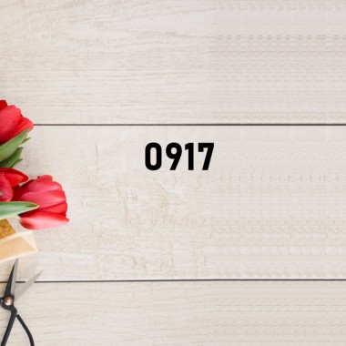 Kevin Lo - 0917