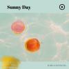 sunny day