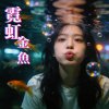 霓虹金魚