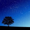 第二章 仰望星空