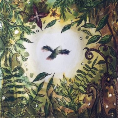 Bird of Paradise