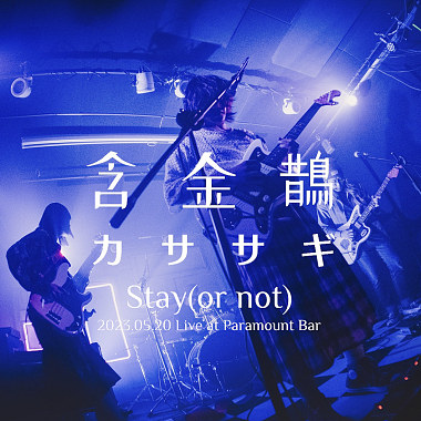 含金鵲カササギ － Stay(or not)    (2023.05.20 小滿Live at 百樂門 )
