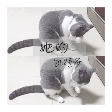 她的