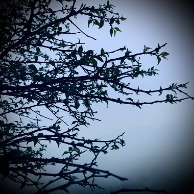 Singing Under Artificial Trees (DEMO)