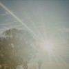 Roam (Demo)
