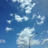 壯烈的字眼