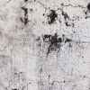今天不適合流淚 demo