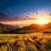 草山的風 arrange for Violin solo