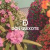 DON QUIXOTE - fragrance