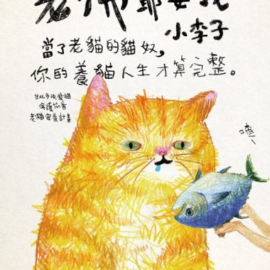 喵有所屬