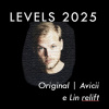 Avicii - Levels 2025 (e Lin - Want to escape) [e Lin 林易 relift)