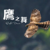 Eagle Dance 鷹之舞