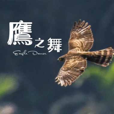 Eagle Dance 鷹之舞