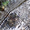 流 FLOW