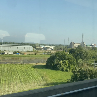 醜小鴨