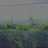 移動迴路 _ Train
