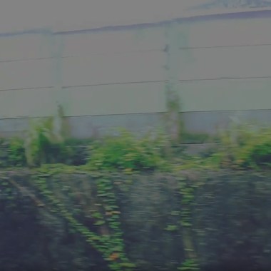 移動迴路 _ Train