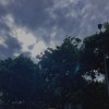 Neon Forest (Day)