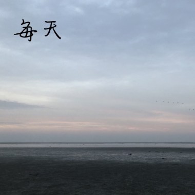 每天