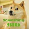 柴物 Something Shiba