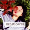 紅花