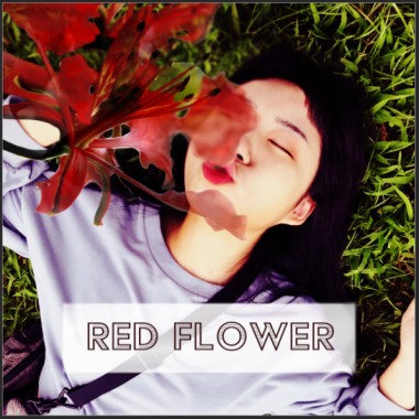 紅花