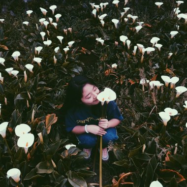 風的離開