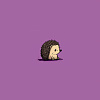hedgehog (never pour my heart out again)