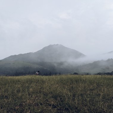 時雨＿Demo