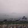 共生島嶼_Demo