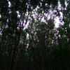 被遺忘的靈路指南 2021 Demo