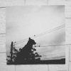 孤島2019