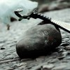 琵琶 ：破