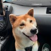 賴著妳 2025更新
