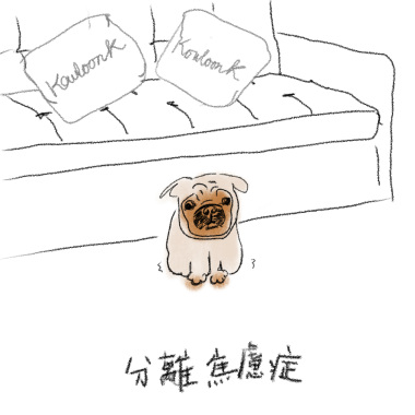 分離焦慮症