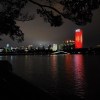 南湖的风demo2024.03.06