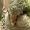 苦澀星期一