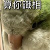 法務大哥救救我