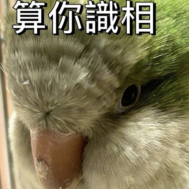 法務大哥救救我