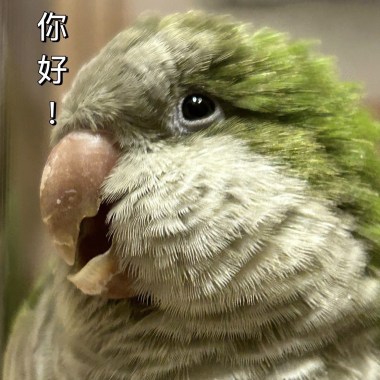 星期三之歌