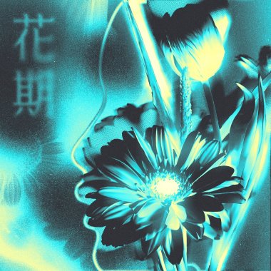 花期