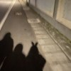 重拾 demo