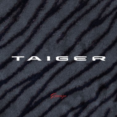 TAIGER