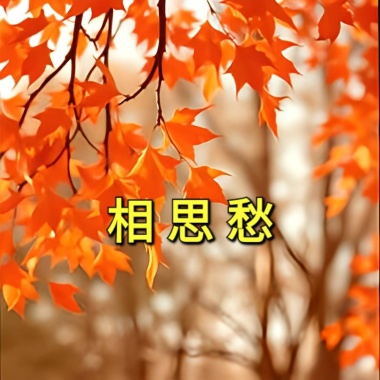 《 相思愁 》(男聲版)